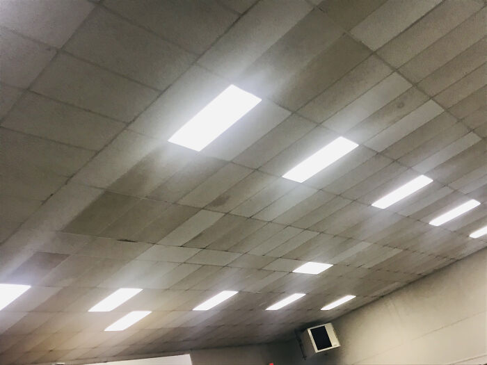 Fluorescent lights on an American school ceiling, highlighting institutional design features.