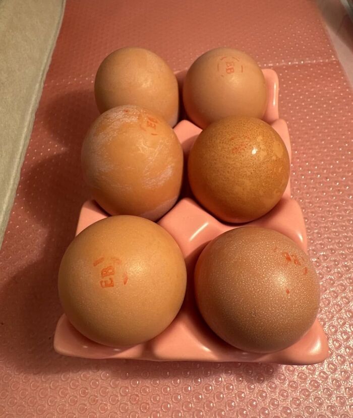 Brown eggs in a pink carton on a textured surface, ideal for filling your own Easter basket with unique treats.