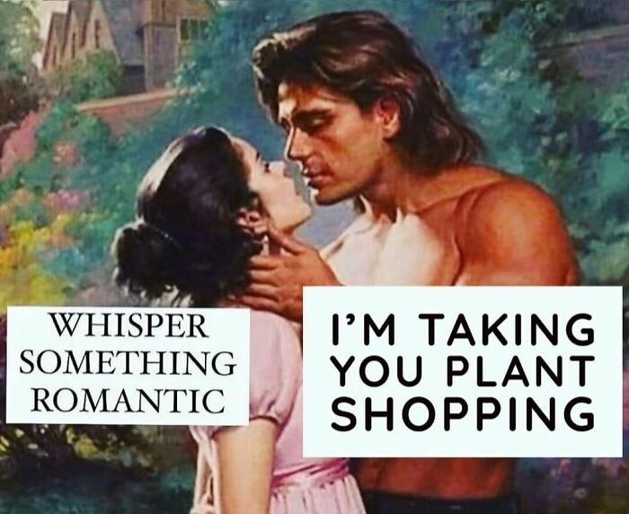 Romantic scene meme humorously connecting plant owners with love for plant shopping.