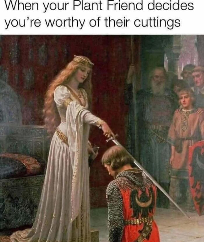 A knight is being knighted by a queen, with text about plant owners sharing cuttings.