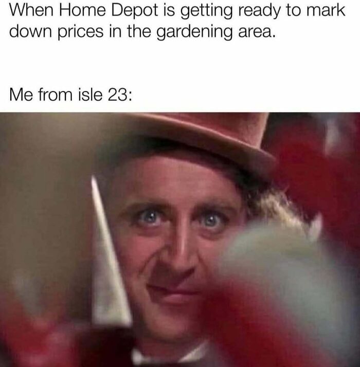Plant owner meme with excited face referencing Home Depot markdowns in gardening.