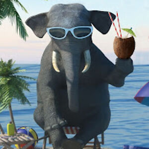 peterosenberg avatar