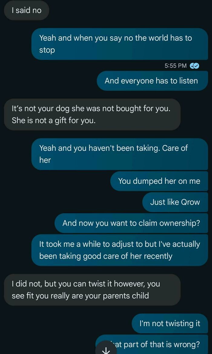 Text conversation arguing about ownership of a dog, highlighting issues with exes.