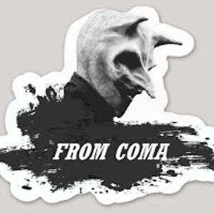 fromcoma avatar