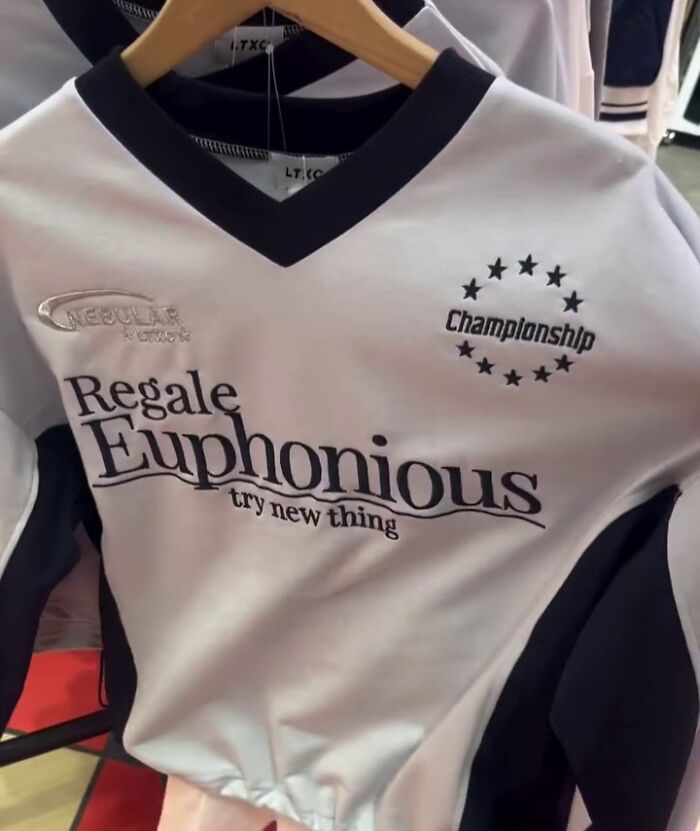 Shirt with poorly translated text, "Regale Euphonious try new thing," found in Japan, focusing on unique words.