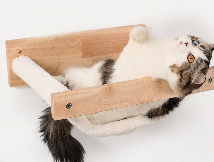 Cat lounging in a wooden wall-mounted hammock, looking relaxed and content.