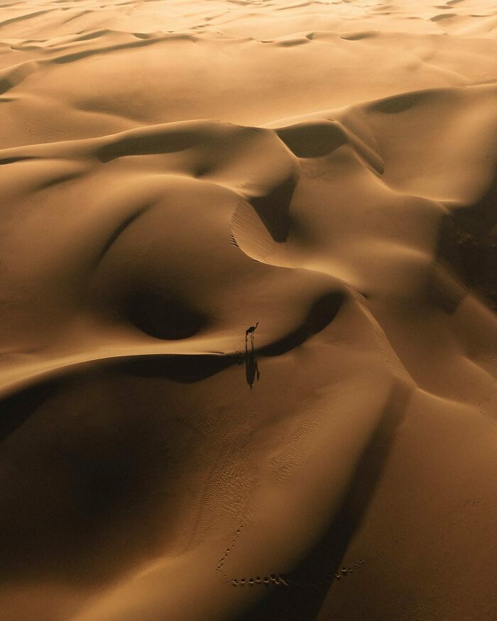 Aerial photo of vast desert dunes with lone figure, showcasing the world from a different angle.