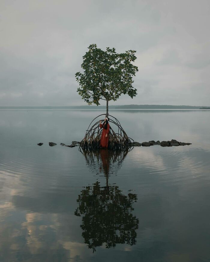 Aerial photo of a solitary tree in water with a person in red beneath it, reflecting the world from a different angle.