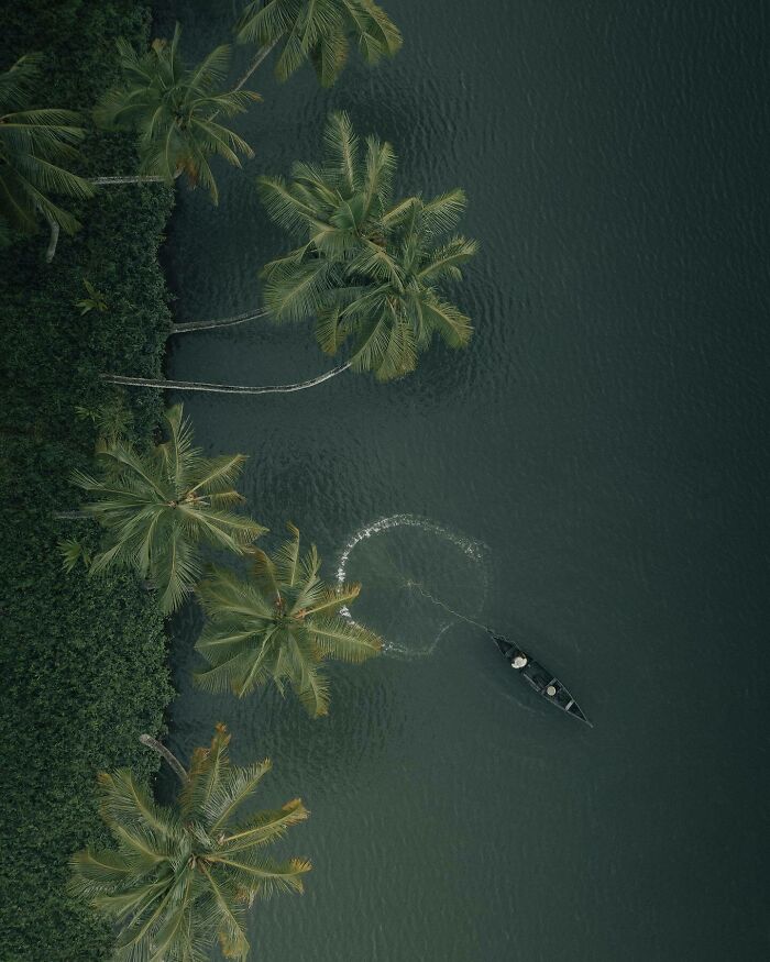 Aerial photo of a canoe passing palm trees on calm water, showcasing a unique perspective.