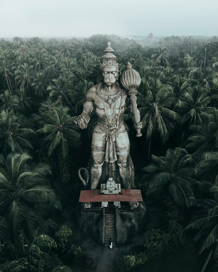 Aerial photo of a towering statue in a lush forest, showcasing the world from a different angle.