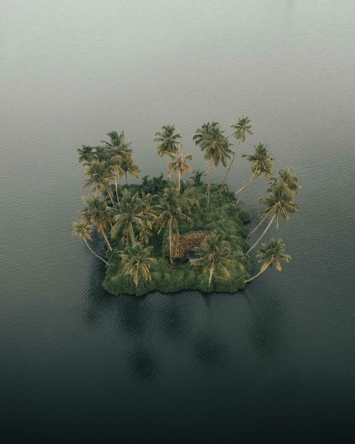 Aerial photo of a small, lush island with palm trees and a rustic hut surrounded by calm water.