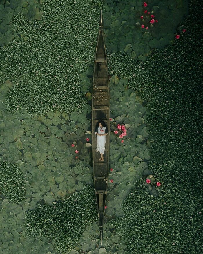 An aerial photo showcasing a person in a boat surrounded by lotus leaves and flowers, offering a unique world perspective.