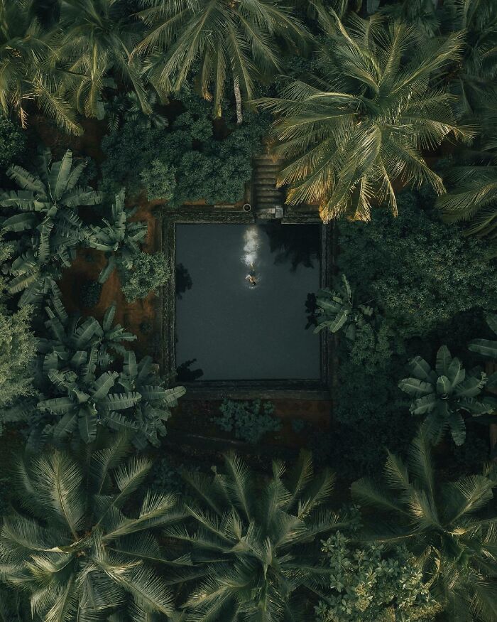 Aerial photo of a square pool surrounded by dense greenery, highlighting unique perspectives from above.