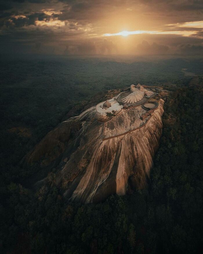 Aerial photo of a large bird sculpture on a hill during sunset, surrounded by lush forest.
