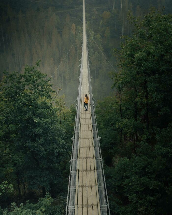 Aerial photo of a person in yellow crossing a long suspension bridge, surrounded by lush forest.