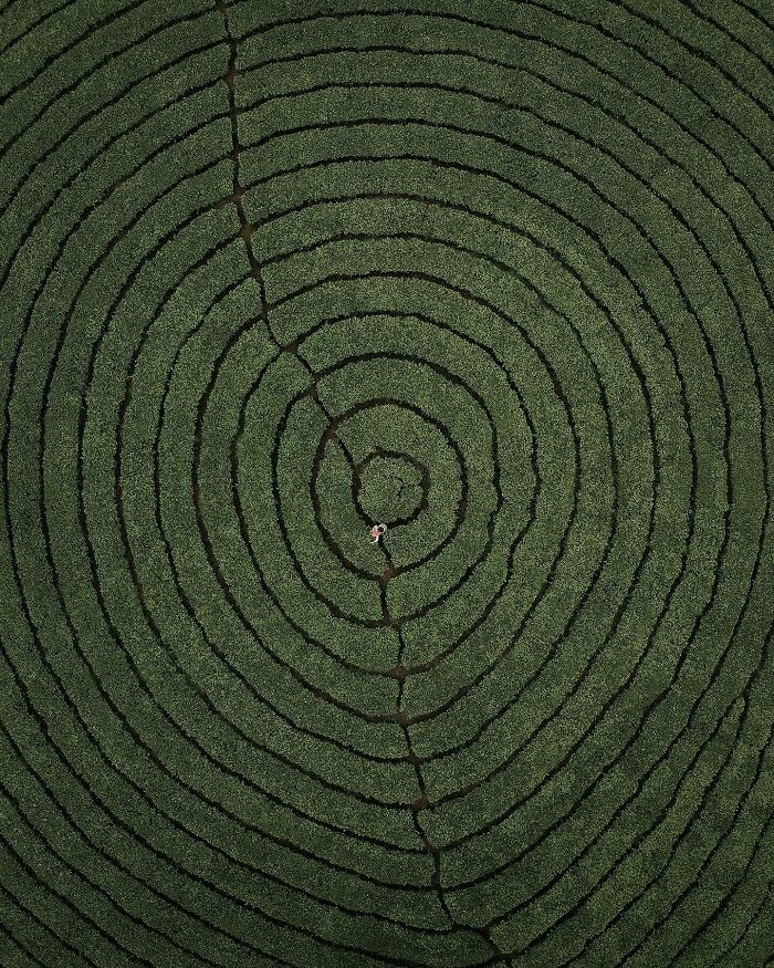 Aerial photo of circular green field pattern with a person walking in the center.