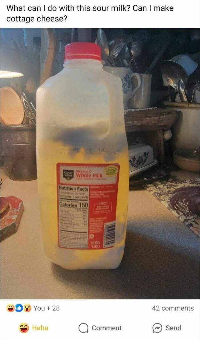 Sour milk in a jug on a kitchen counter, questioned for potluck cooking ideas.