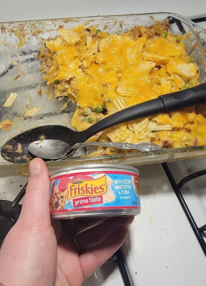 A hand holding a can of cat food next to a dish of cheesy casserole, highlighting unusual potluck dishes.