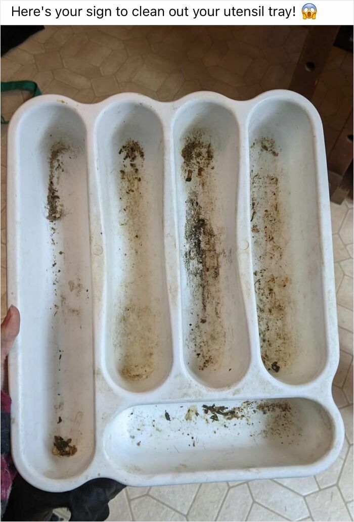 Dirty utensil tray highlighting worst potluck dish presentation.