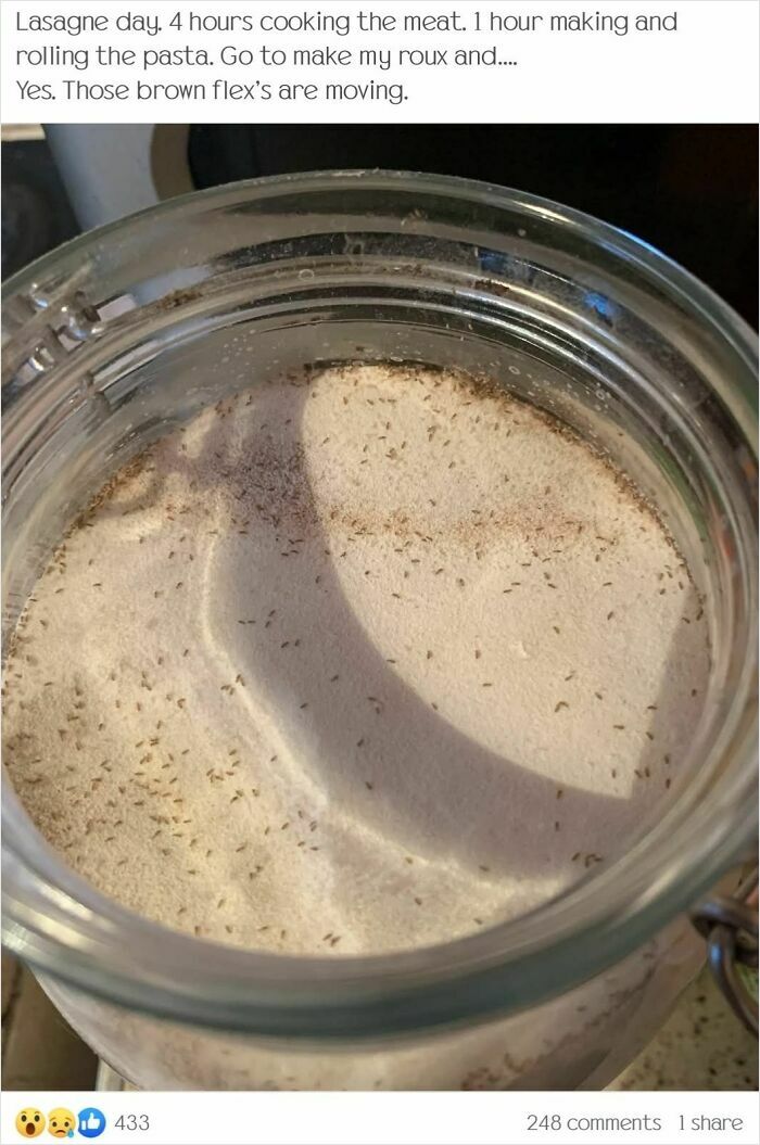 Jar of flour with moving brown specks, highlighting worst potluck dish experience.