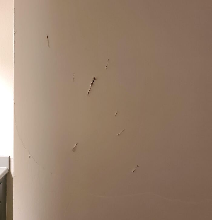 Pared de casa nueva con grietas y daños visibles que asustan a las personas tras mudarse y descubrir la sorpresa.