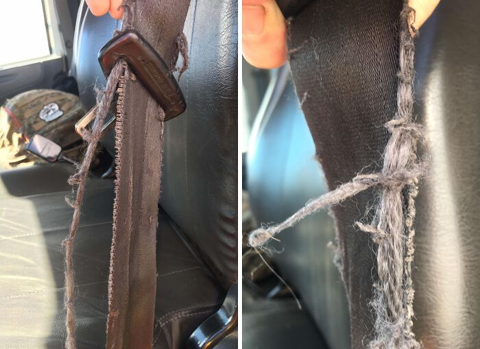 Frayed seatbelt in a vehicle shows poor maintenance by infuriating bosses.
