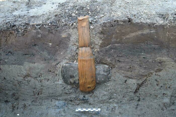 Ancient artifact partially buried in soil, showcasing historical craftsmanship with a wooden handle and stone blade.