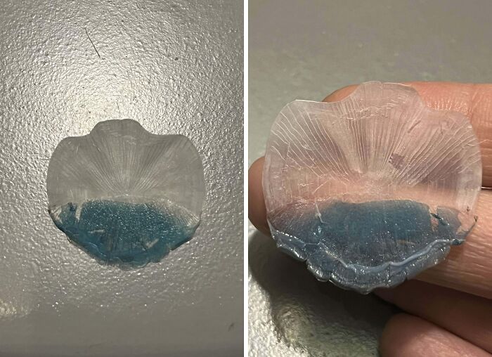 Transparent blue seashell shard, one of the strangest ocean finds, displayed on a metallic surface and held up close.