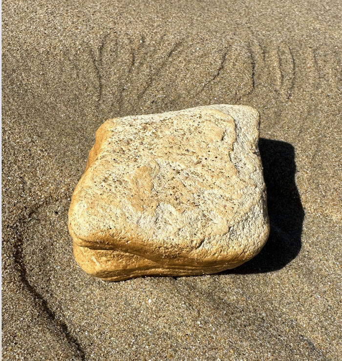 Beige rock on sandy beach, one of the strangest things found in the ocean, displaying natural weathering patterns.