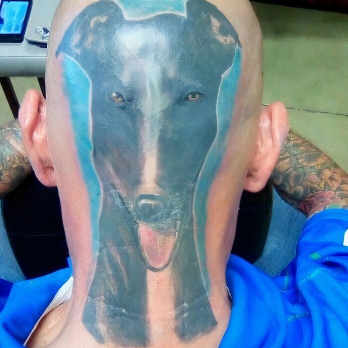 Head tattoo of a dog on a bald person, showcasing a permanent ink decision.