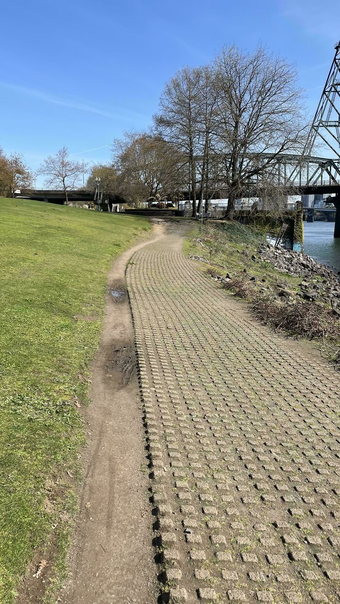 Misguided city planning: paved path alongside a worn dirt trail under a bridge.