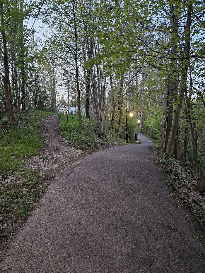 Two divergent paths in a park highlight city planners' oversight, one paved with lights, the other a rough trail.