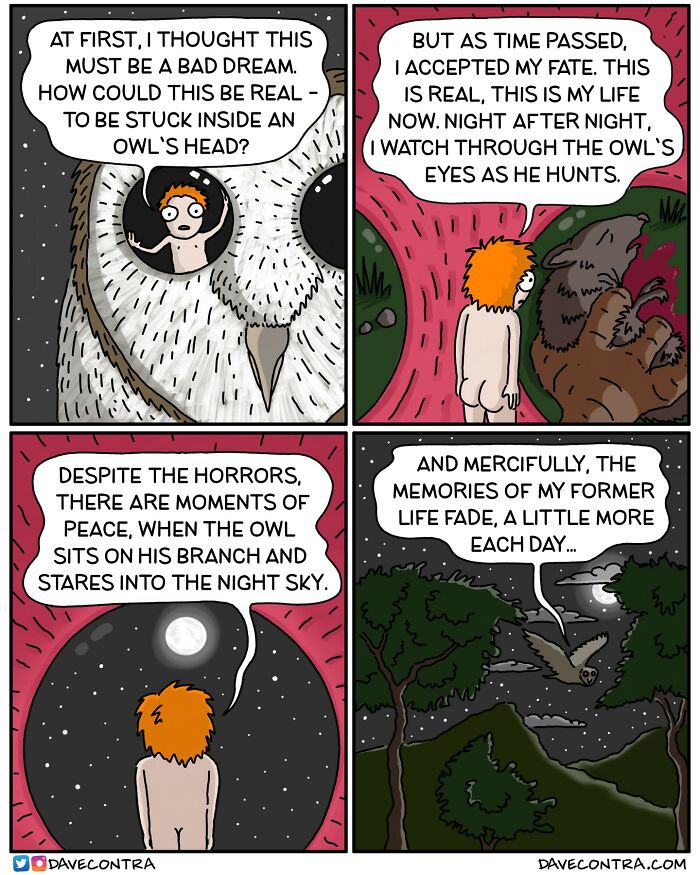 Darkly twisted comic by Dave Contra showing a surreal story of a person stuck inside an owl’s head at night.