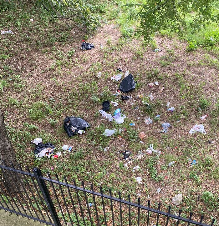Litter scattered on a grassy area beside a fence, highlighting lack of basic etiquette.