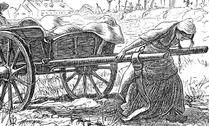 A woman pulling a cart in an old illustration, symbolizing historical coincidences in a rural setting.