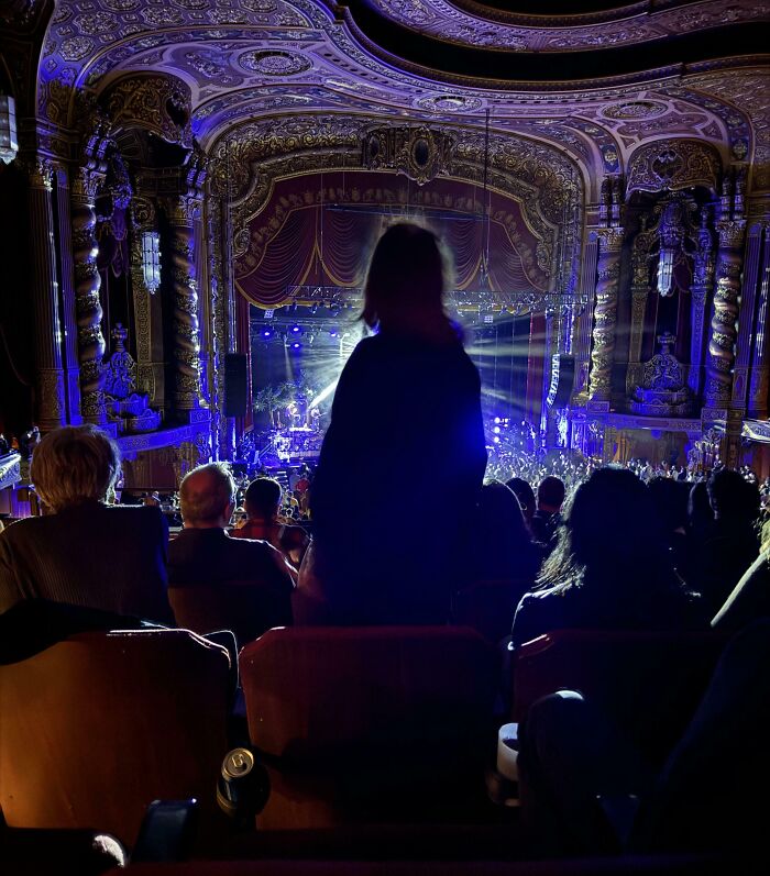 Theater audience hindered by person standing, lacking basic etiquette.