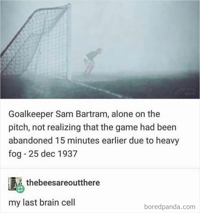 Goalkeeper meme showing Sam Bartram alone in fog, unaware the game ended. Humorous caption: "my last brain cell."