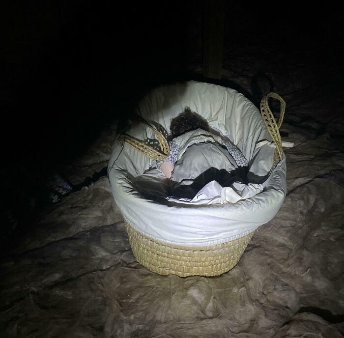 Muñeca antigua en una cuna dentro de un espacio oscuro, miedo tras mudanza a casa nueva con sorpresa inesperada.