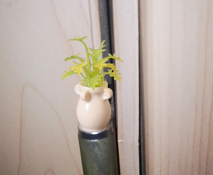 Mini potted plant adding charm to a generic apartment, enhancing it beyond a doctor's waiting room feel.
