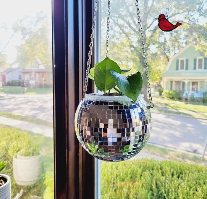 Hanging disco ball planter with greenery adds style to a generic apartment, brightening a window scene.