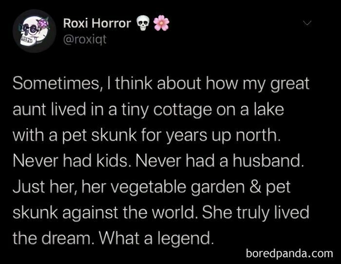 Anti-social meme about living alone with a skunk in a cottage, enjoying solitude and independence.