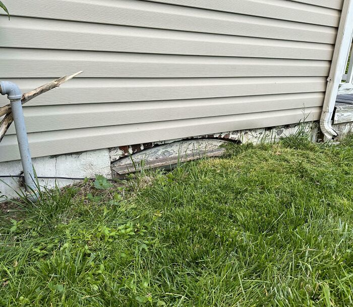 Creepy hidden basement door discovered outside a house beneath the siding and grass.