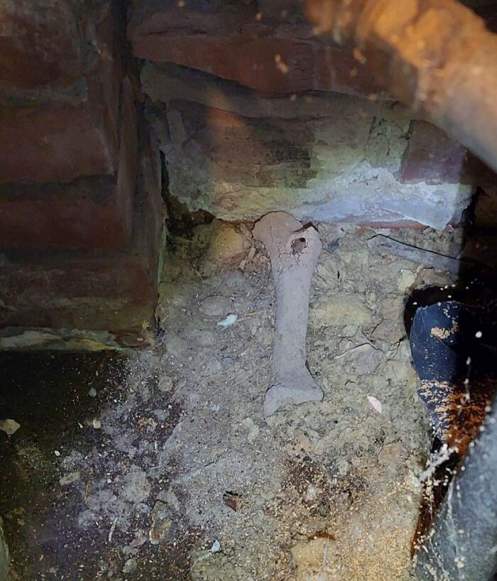 Creepy discovery: a bone partially buried in dirt, found hidden in a home's brickwork after moving in.