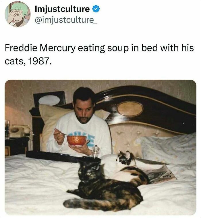 Man in bed with soup and two cats; an interesting fact for family chats.