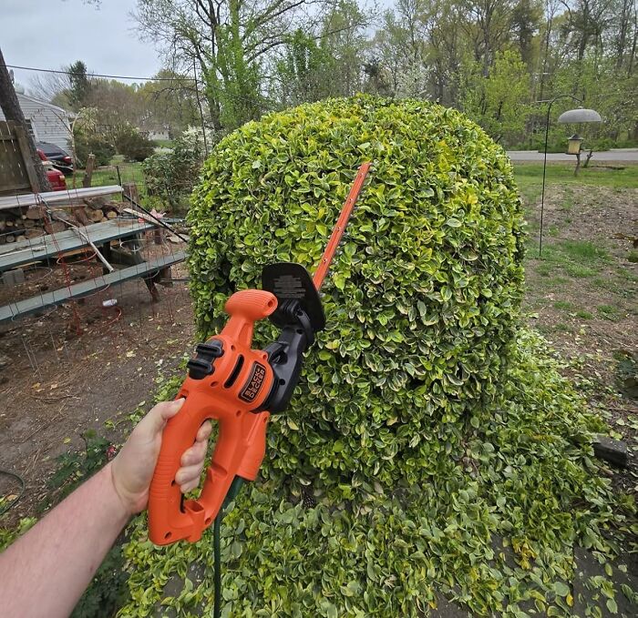 Person trimming bush with orange electric hedge trimmer in a casual garden setting, promoting gardening tools.