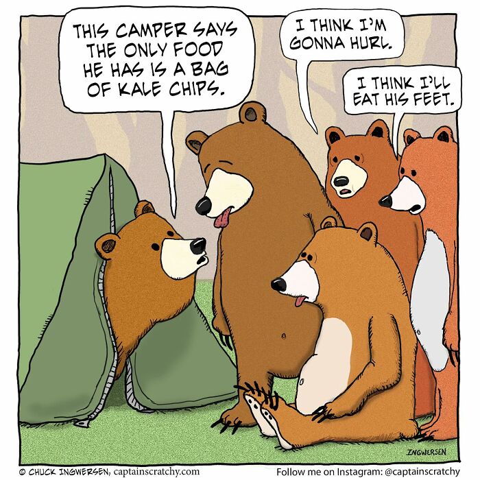 Cartoon bears in funny situations around a tent, humorously discussing a camper's bag of kale chips.