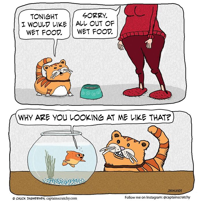 Cartoon featuring a cat and fish in funny situations, highlighting animals in humorous comic scenes.
