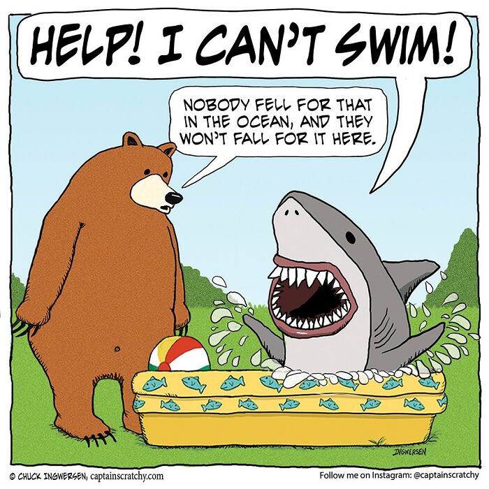 Comic by Captain Scratchy showing a bear and a shark in a funny animal situation with a kiddie pool splash.