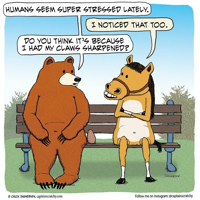 Bear and horse sitting on a bench in a funny comic about animals in humorous situations by Captain Scratchy.