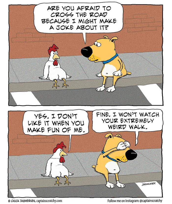 Cartoon of a dog and chicken on a crosswalk in a funny animal comic by Captain Scratchy.